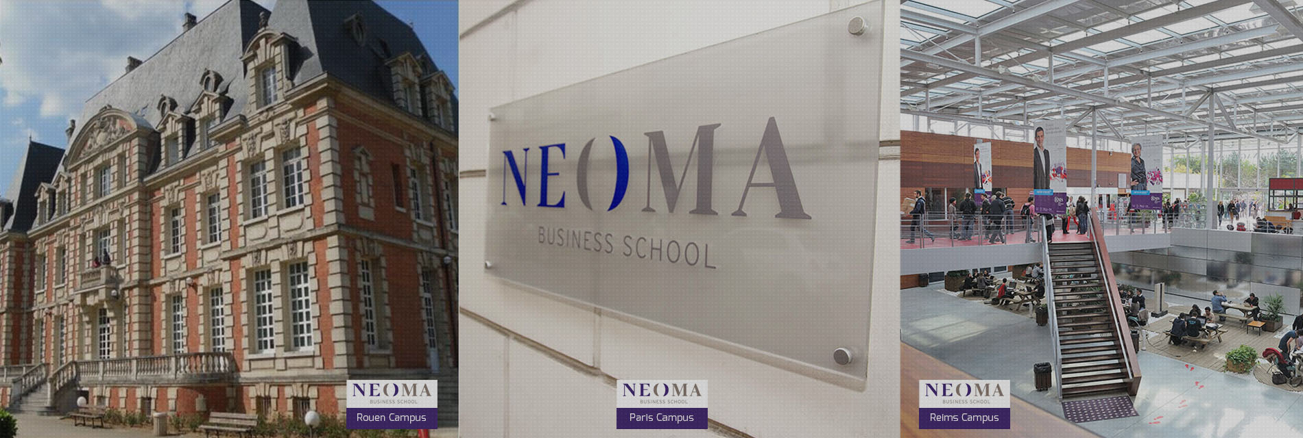 Neoma business school